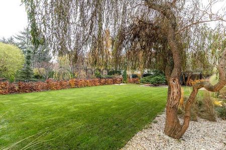 260 m2 | 4 sypialnie | umeblowany | Plac Vogla - Zdjęcie 3