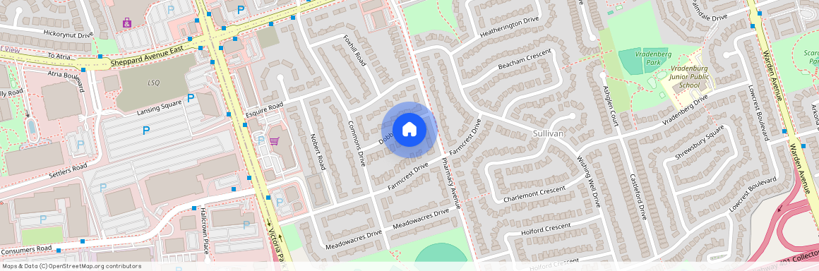 17 Dobbin Road Unit# main, Toronto