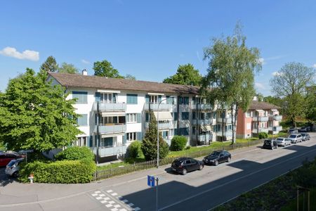 Zürich-Schwamendingen helle und schöne Wohnung befristet bis 30.09.27 - Photo 4