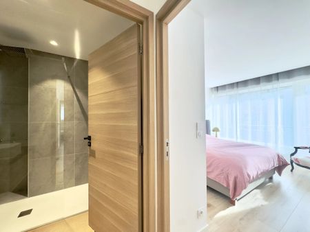 Location Appartement 3 pièces 60m² ANNECY 74000 - Photo 4