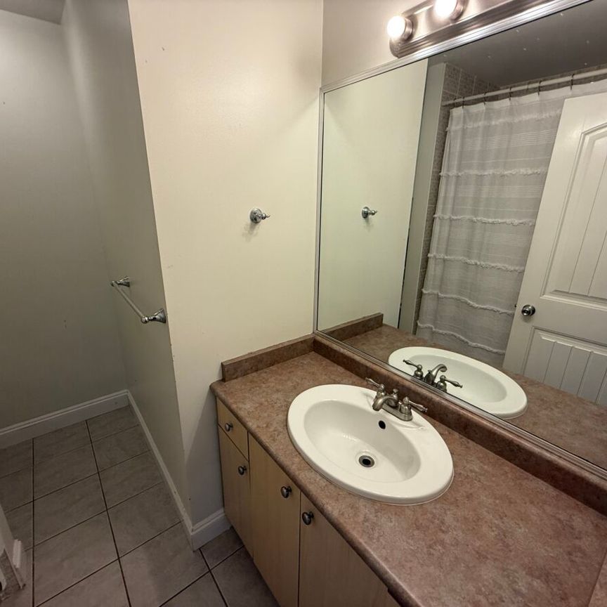 Utilities Included – Secluded Suite - Photo 1