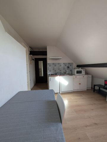 Location Appartement 1 pièce 11m² - Photo 2
