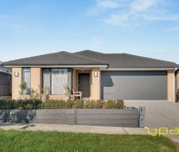 7 Guinea Flower Drive, CRANBOURNE WEST - Photo 5