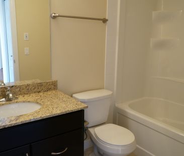 2 Bed 2 Bath - Photo 3