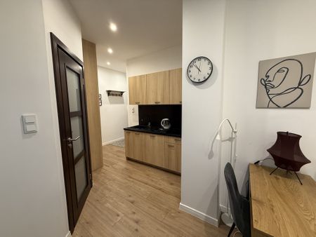 Kraków ul. Botaniczna jednopokojowe do wynajęcia - Zdjęcie 4