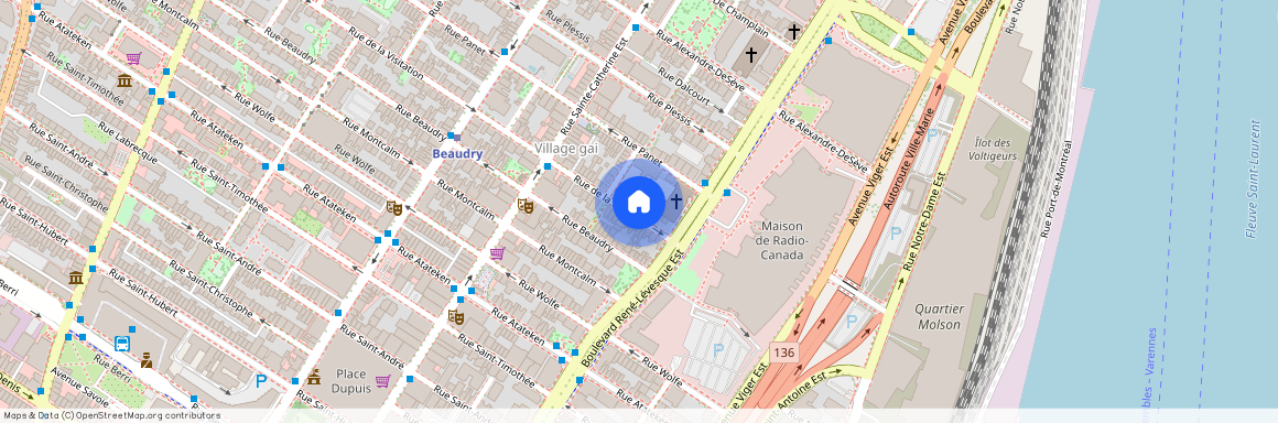 1133 avenue Viger Est, Ville-Marie, Ville-Marie, Ile de Montréal, H2L 3B5