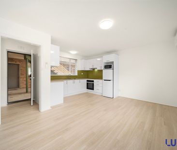 10/43 Gardiner Street, Downer ACT 2602 - Apartment For Rent | Domain - Photo 6