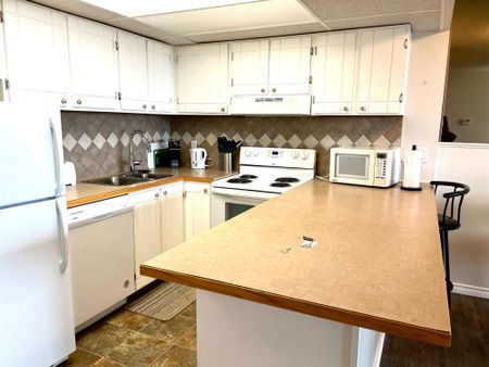 Unit 1111, 4902 - 37 Street, Red Deer, AB - Photo 3