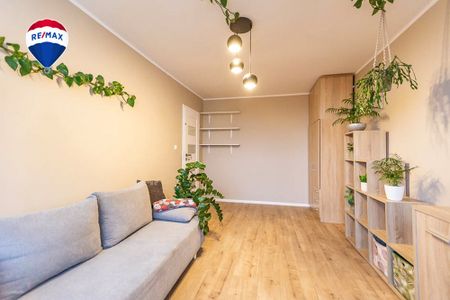 Do wynajęcia 3 pokoje w centrum Zielonej Góry! - Фото 3