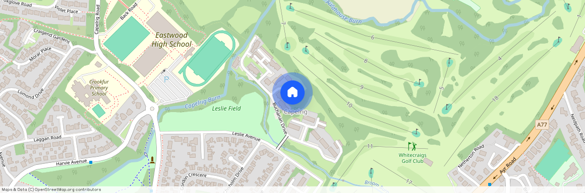 Burntwood Court, Buchanan Drive, Newton Mearns