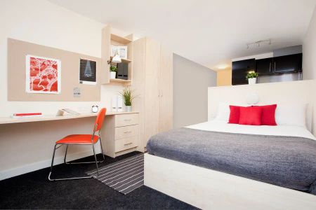 Standard Studio - Photo 5