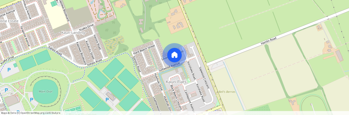 10 Silver Beech Street, Takanini, Papakura