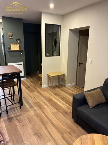 RAVISSANT APPARTEMENT MEUBLE - Photo 2