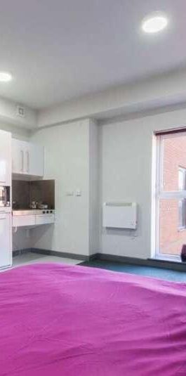 Premium Studio, Poulson House, Stoke-on-trent Student Village, ST4 - Photo 1