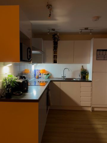 Studio Flat, Princeton Place, L8 - Photo 5