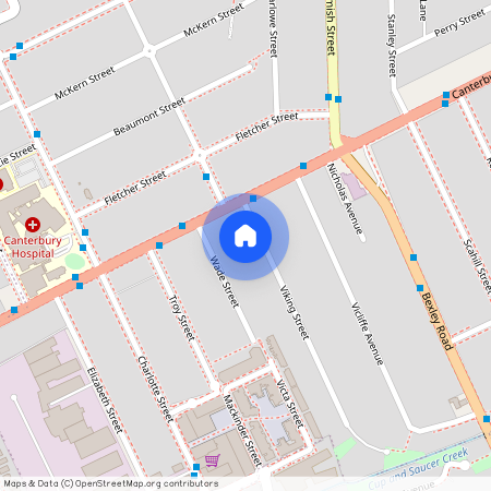 5 Viking Street, NSW 2194, Campsie