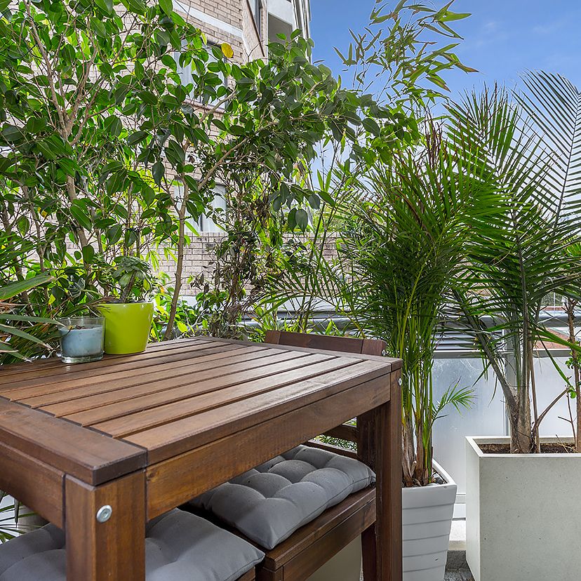 10 Earl Place, Potts Point NSW 2011 - Apartment For Rent | Domain - Photo 1