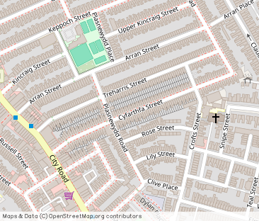 Cyfarthfa Street, Roath, Cardiff, CF24 3HF - Photo 1