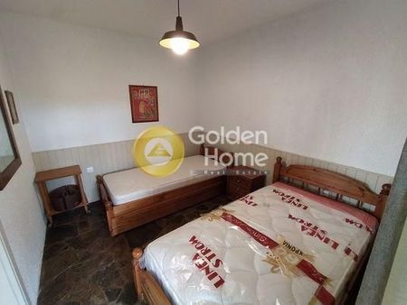 Διαμέρισμα για ενοικίαση Θεολόγος (Μαλεσίνα) - Φωτογραφία 5