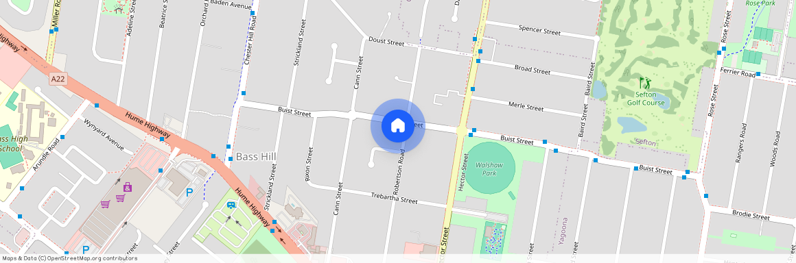 23 Buist Street, NSW 2197, Bass Hill