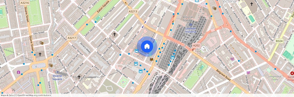 19 Eccleston Place, Belgravia, Chester House, SW1W 9NF, London