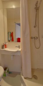 Location Appartement 1 pièce 16m² STRASBOURG 67000 - Photo 4