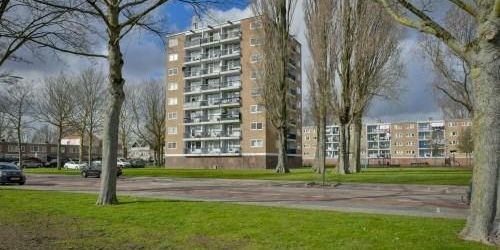 Zuidervaart, 1504 Zaandam, Nederland - Photo 3