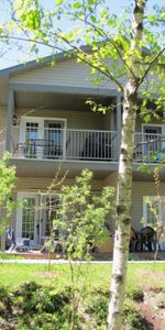 5 1/2 à louer près parc, école, rez-de-jardin - Photo 4