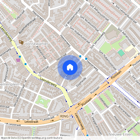 Joriskwartier, 5614 GL, Lupinestraat, Eindhoven