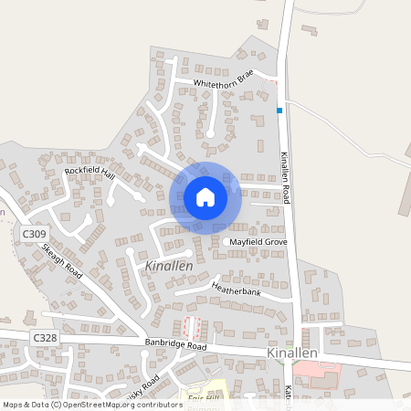 4 Whitethorn Lane, Kinallen, Dromore, BT25 2DL