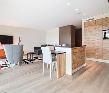 Superbe studio meublé et équipé avec terrasse vue lac et Alpes - Photo 2