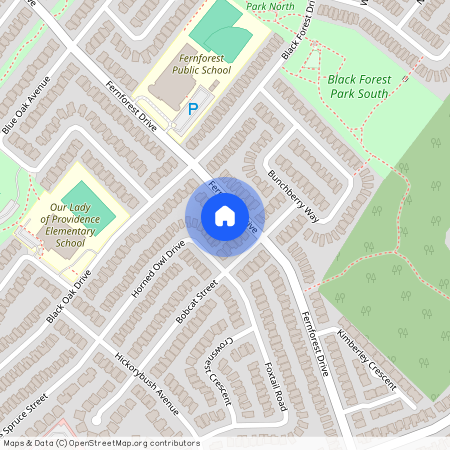 232 FERNFOREST Drive, Brampton