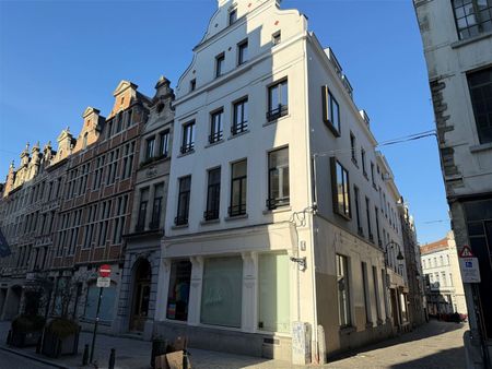 Gerenoveerd 1 slaapkamer app in hartje Brussel! - Photo 2