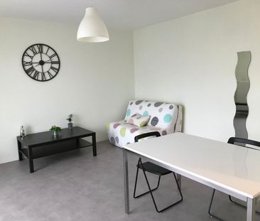 Location Appartement 1 pièce 28m² GRENOBLE 38100 - Photo 1
