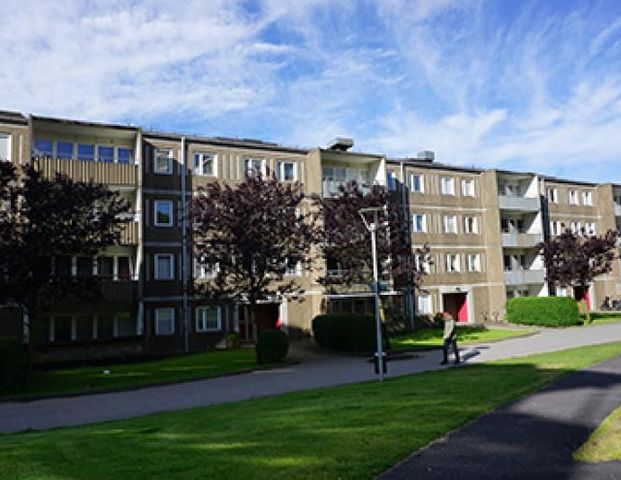 Blendas Gata 55 - Photo 1