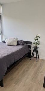 Very Bright Corner Unit in River Dist. - FURNISHED/Util/Internet Incl. - Photo 3