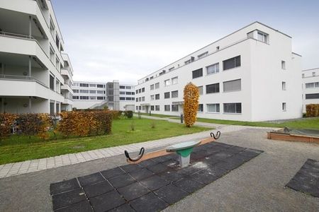 The laughter of children is guaranteed here - Photo 5