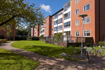 Professorsgatan 9E, Hermodsdal - Foto 2