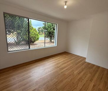 Large backyard with a shed - Photo 3