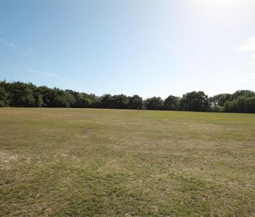 3 bedroom detached bungalow to rent - Photo 3