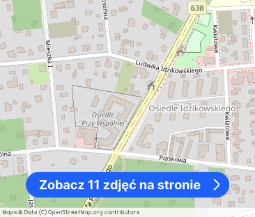 Sulejówek ul. Aleja Piłsudskiego - Zdjęcie 1
