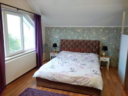 Casa 5 camere de inchiriat in Cluj-Napoca, Andrei Muresanu ID 5926 - Fotografie 2
