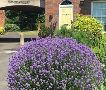 Cambria Court Room C - Photo 5