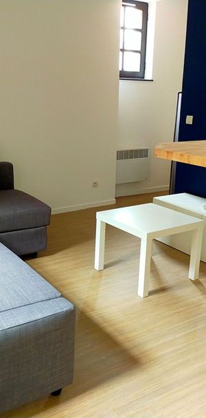 Location Appartement 1 pièce 27m² CLERMONT FERRAND 63100 - Photo 1