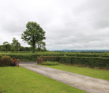 7 Horse Park, Lisburn, BT28 2QU - Photo 1