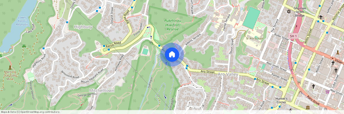 213 Aro Street, Aro Valley, Wellington City