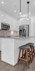 Maple Ridge 1 bed Apt for rent - Photo 3