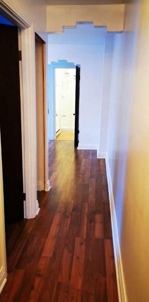 BEAU 4 1/2 AVEC EMPLACEMENT EXCEPTIONNEL! - Photo 1