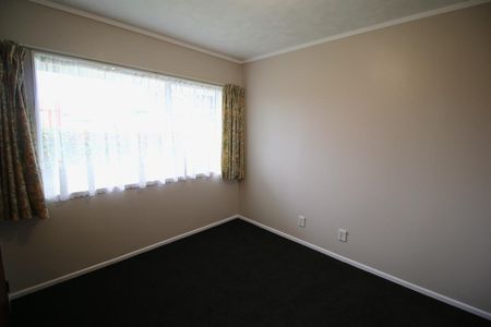 Freshly renovated on Vogel - Photo 5