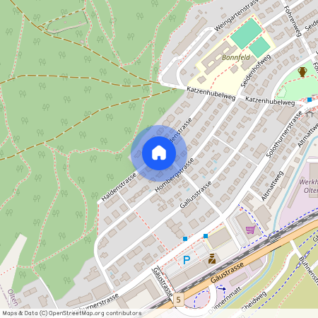 4600, Olten, Haldenstrasse, 29